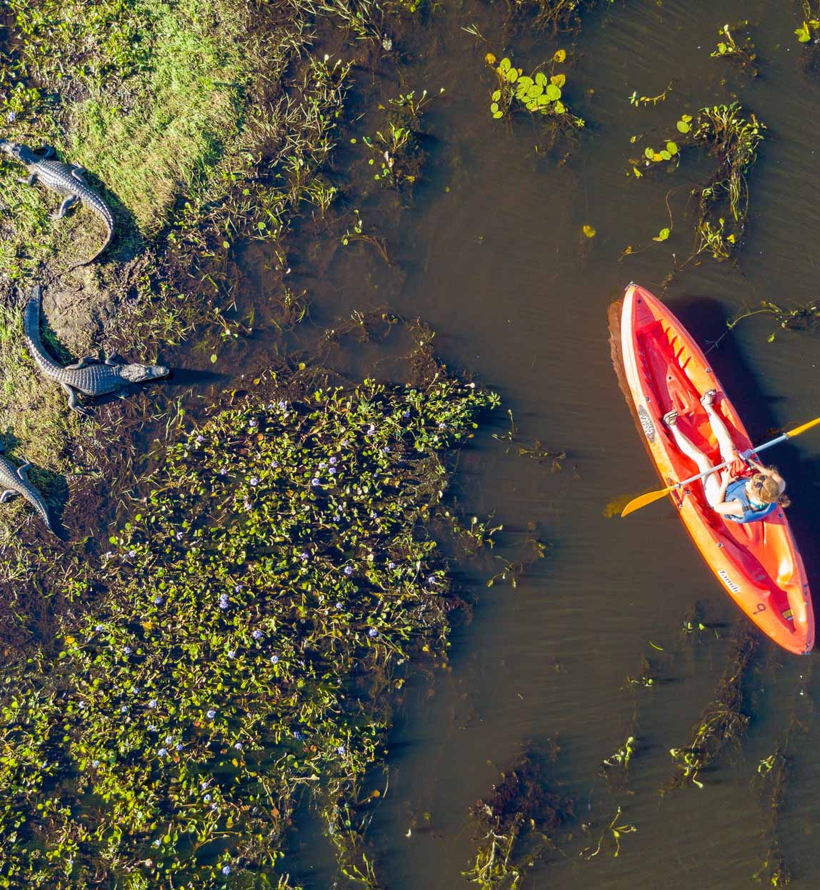 kayaking in arentina's Ibera wetlands