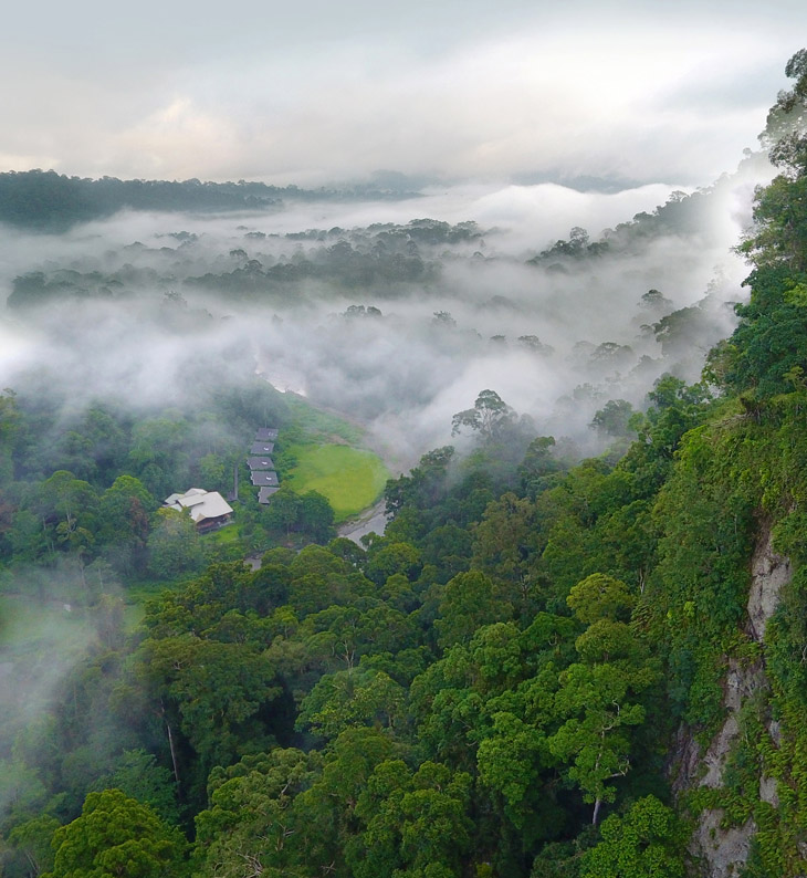 aerial view of borneo rainforest lodge