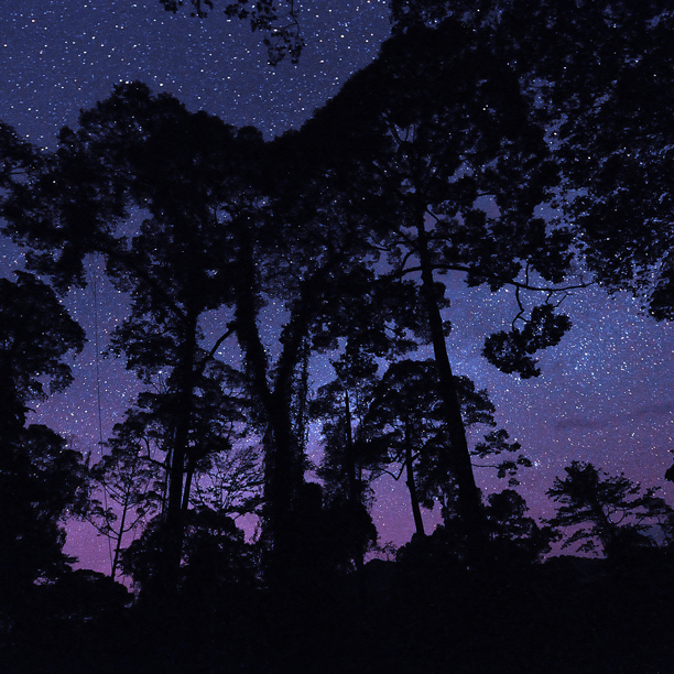 night sky and stars in danum valley borneo