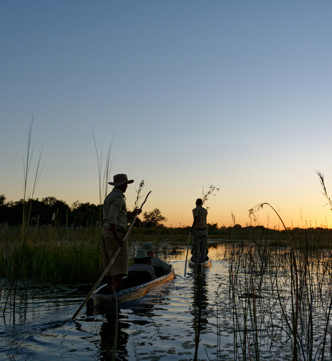 mokoro at sunrise safari in okavango delta