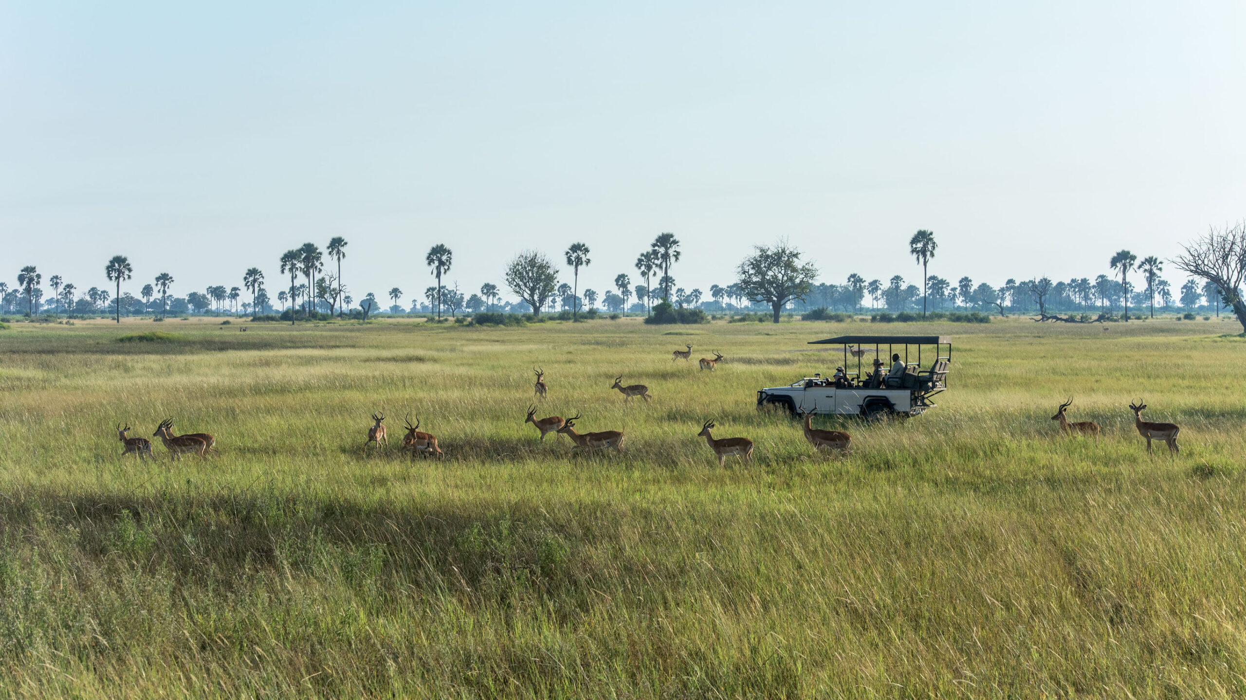 botswana safari landscape at xigera