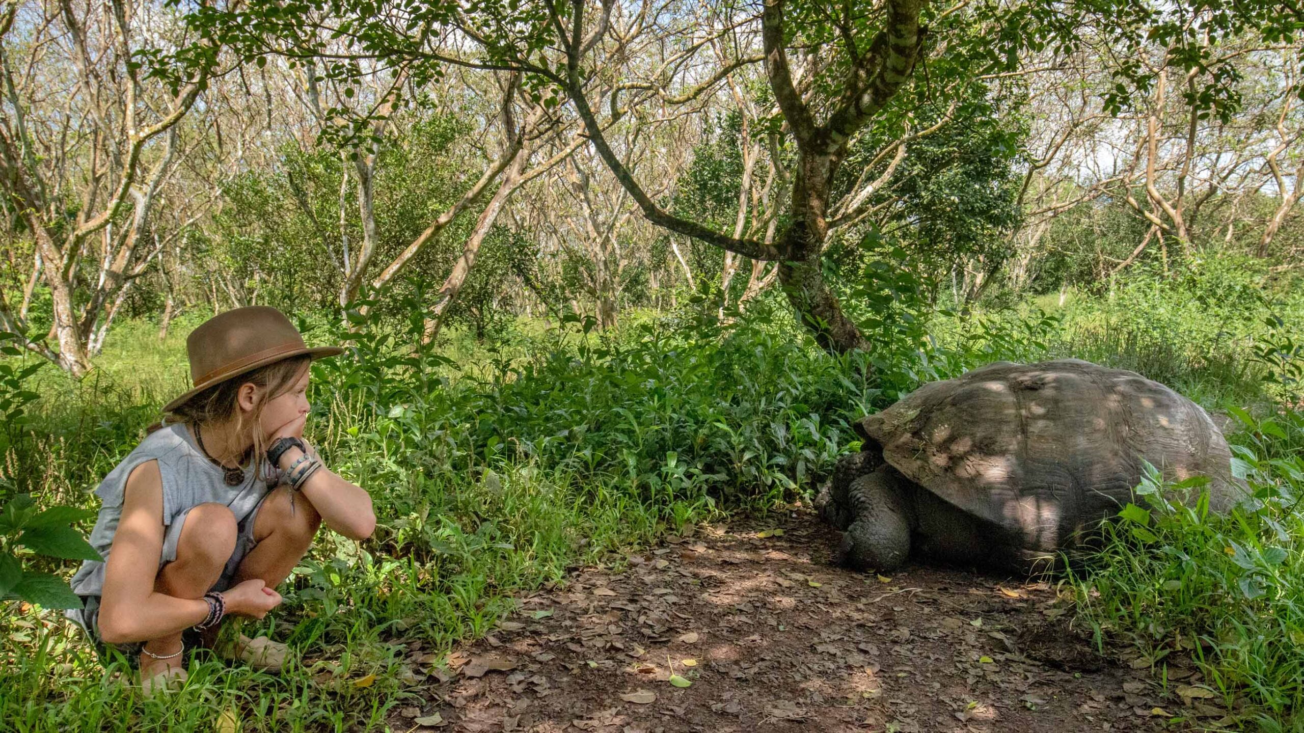 giant tortoise and child in galapagos islands