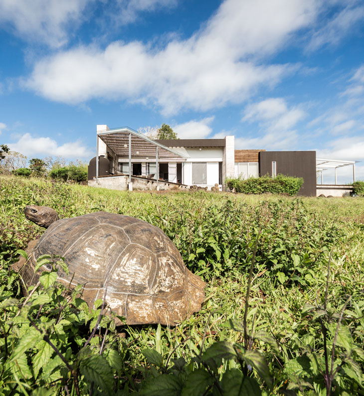 exterior shot of hotel montemar