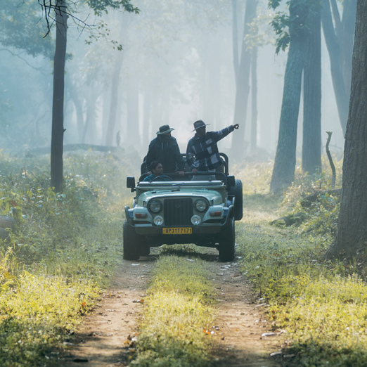 dudhwa wildlife safari jeep game drive