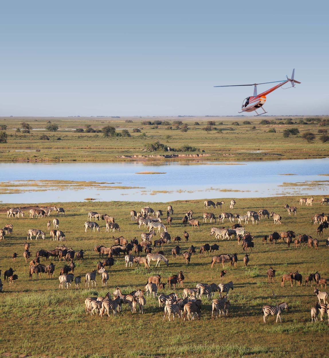 san camp helicopter over pans and zebra migration