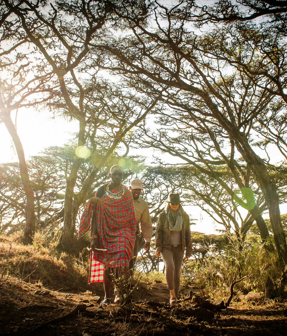 walking in the ngorongoro crater