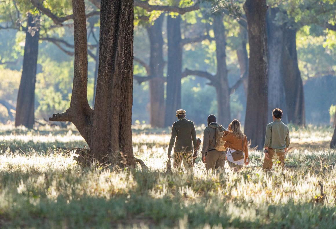 luxury walking safari in south luangwa
