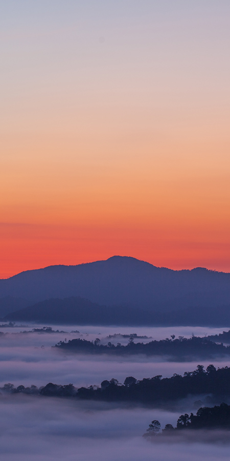 view mists over danum valley Borneo by Sticky Rice