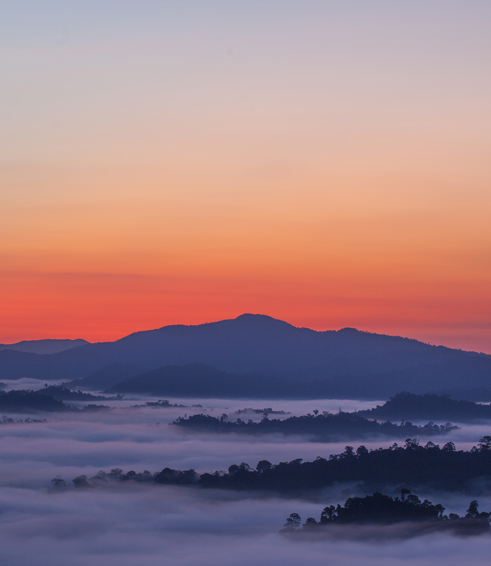 view mists over danum valley Borneo by Sticky Rice