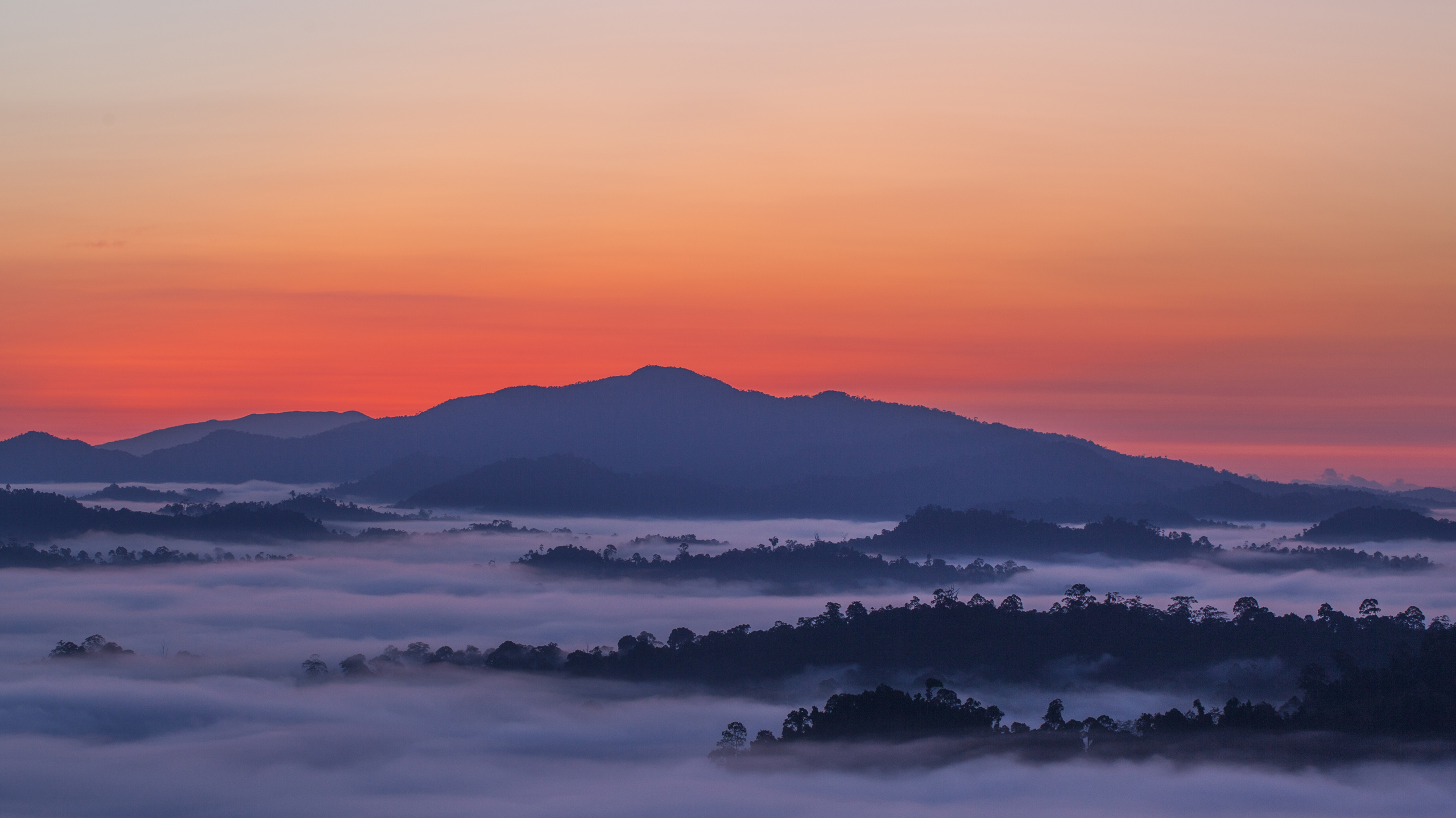 view mists over danum valley Borneo by Sticky Rice