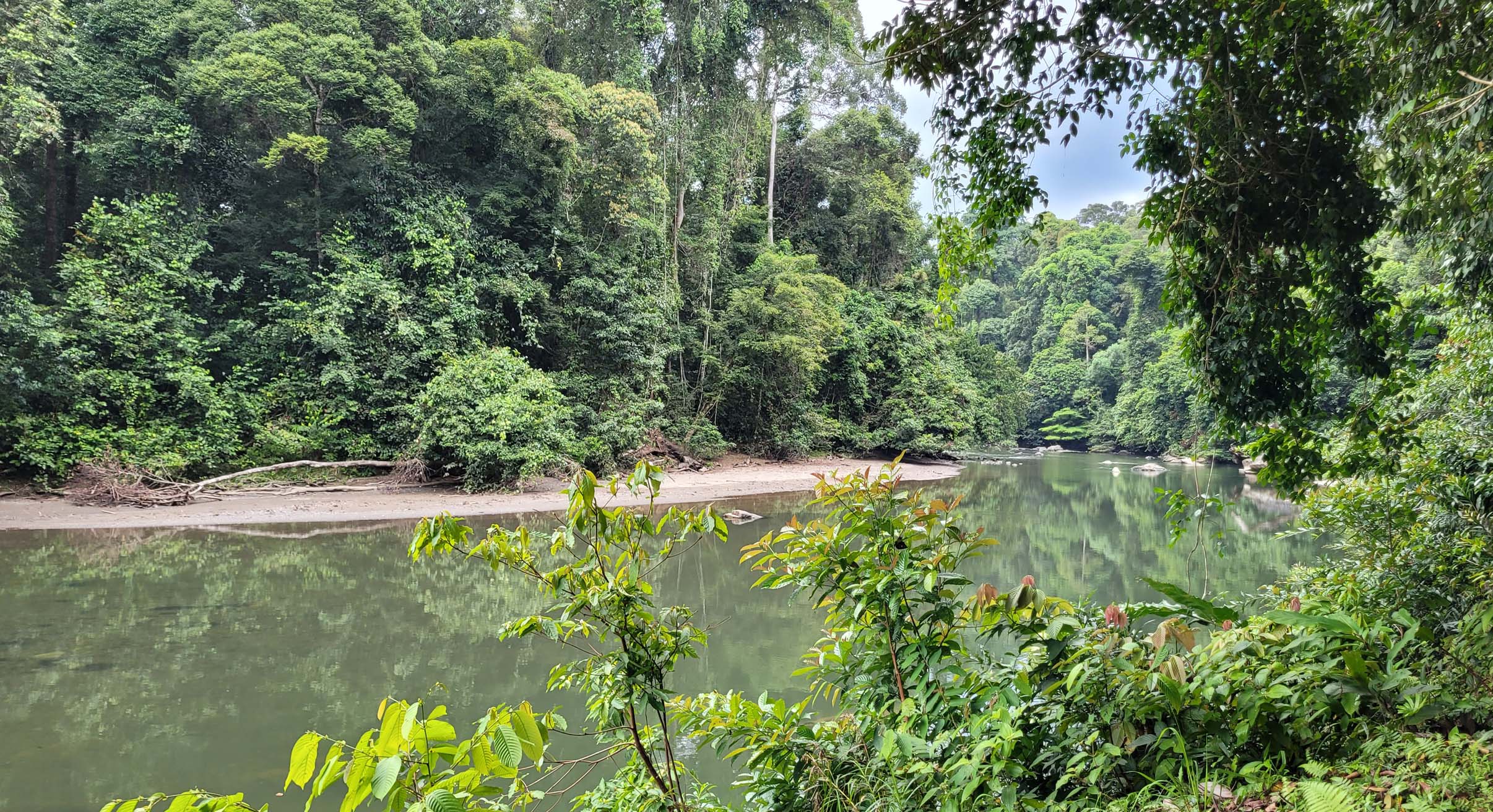 river outside borneo rainforest lodge