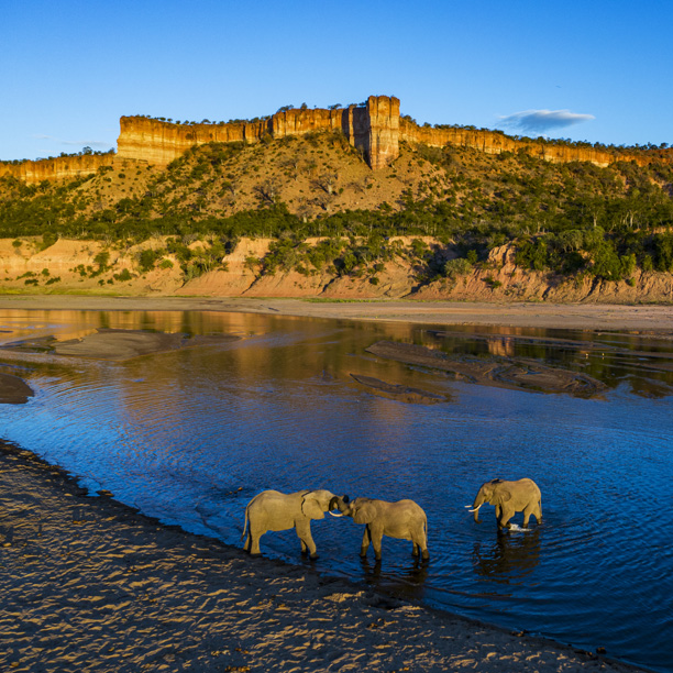 elephants in the river at chilo gorge gonarezhu national park