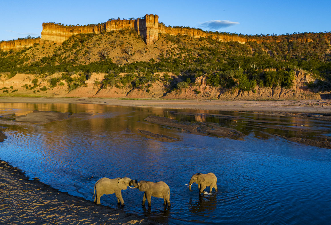 elephants in the river at chilo gorge gonarezhu national park