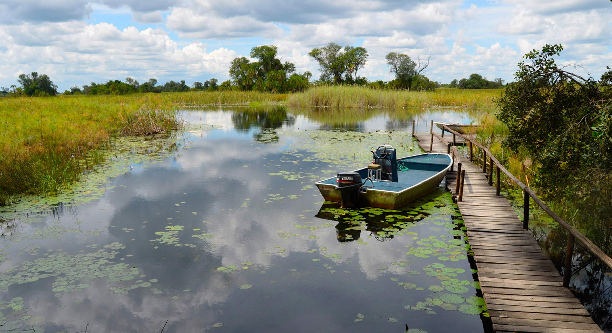 view of the waterways of the panhandle in the okavango region outside nxamaseri lodge