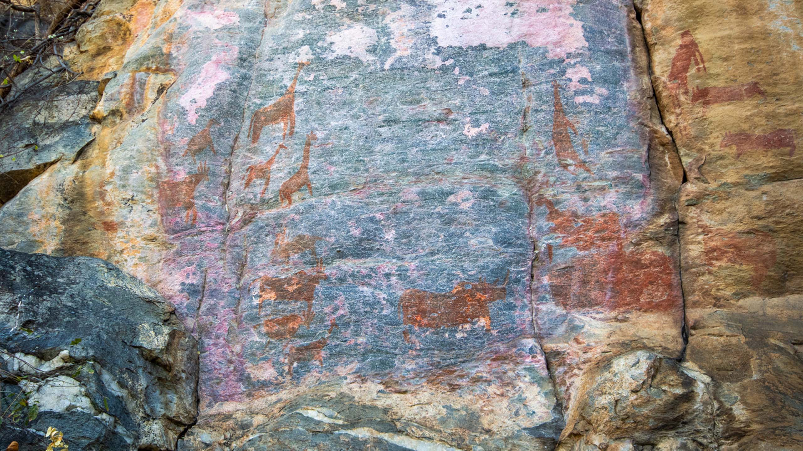 rock art cliff in the tsodilo hills