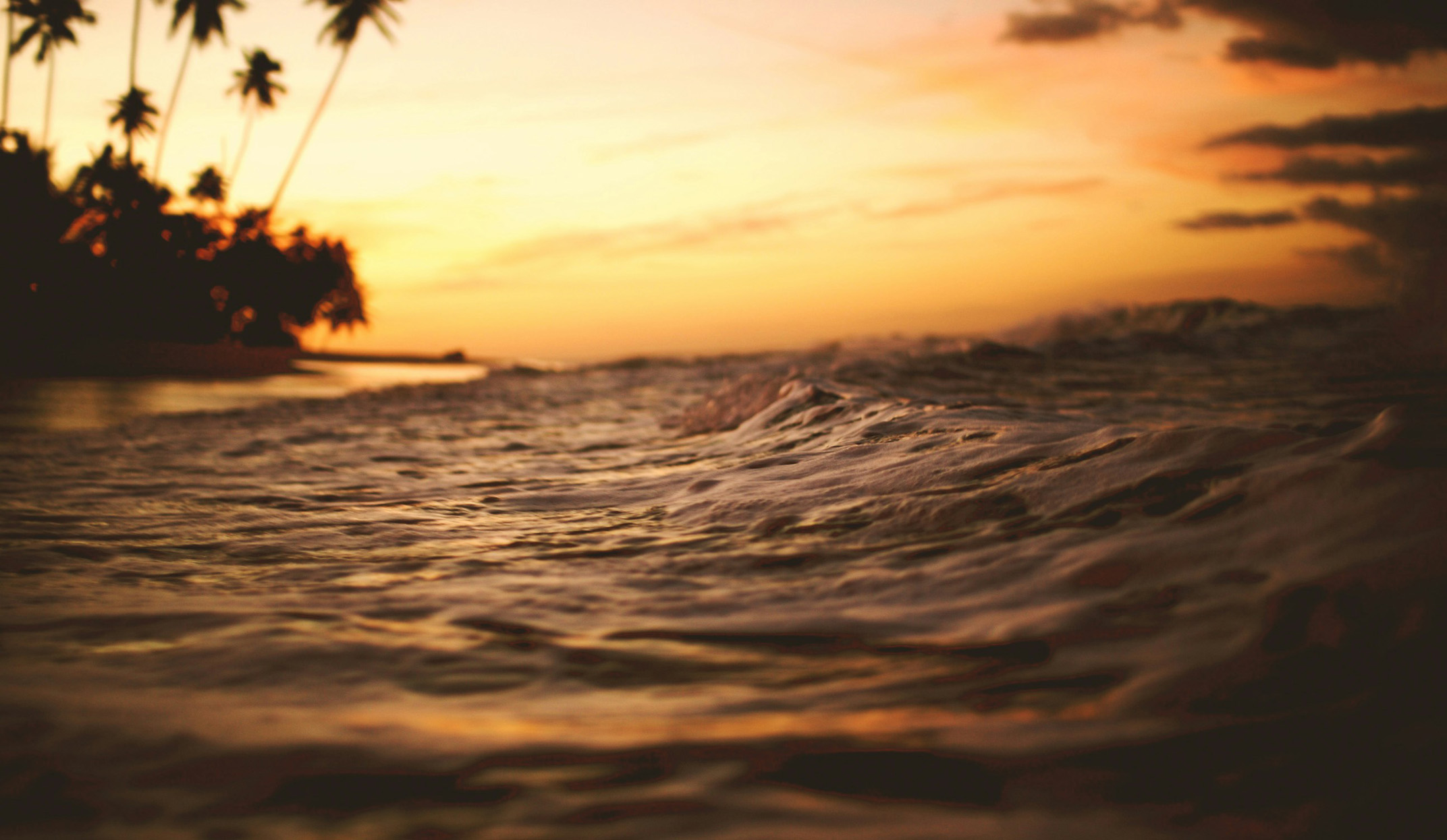 beach and waves in brazil