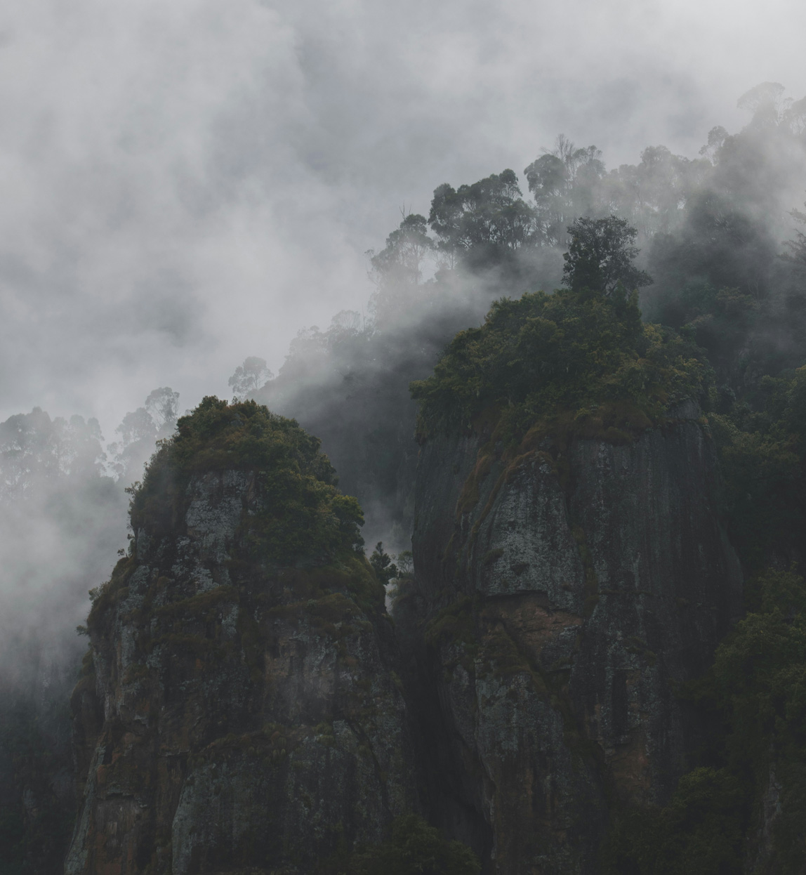 mist over hills in kodaikanal in china