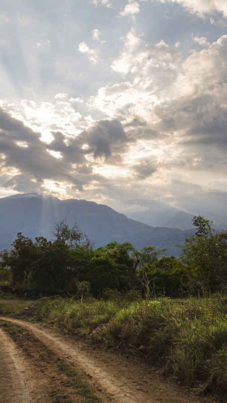 A two wheel dirt track running through a beautiful landscape at sunset, near the destination town of Barichara in Colombia