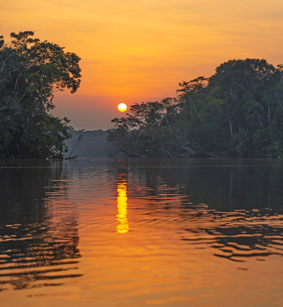 Amazon Rainforest Sunset Reflection Reflection of a sunset by a lagoon inside the Amazon Rainforest Basin, Yasuni national park. The Amazon river basin comprises the countries of Brazil, Bolivia, Colombia, Ecuador, Guyana, Suriname, Peru and Venezuela.