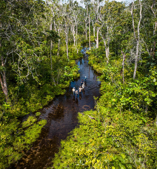congo walking through bais in odzala national park