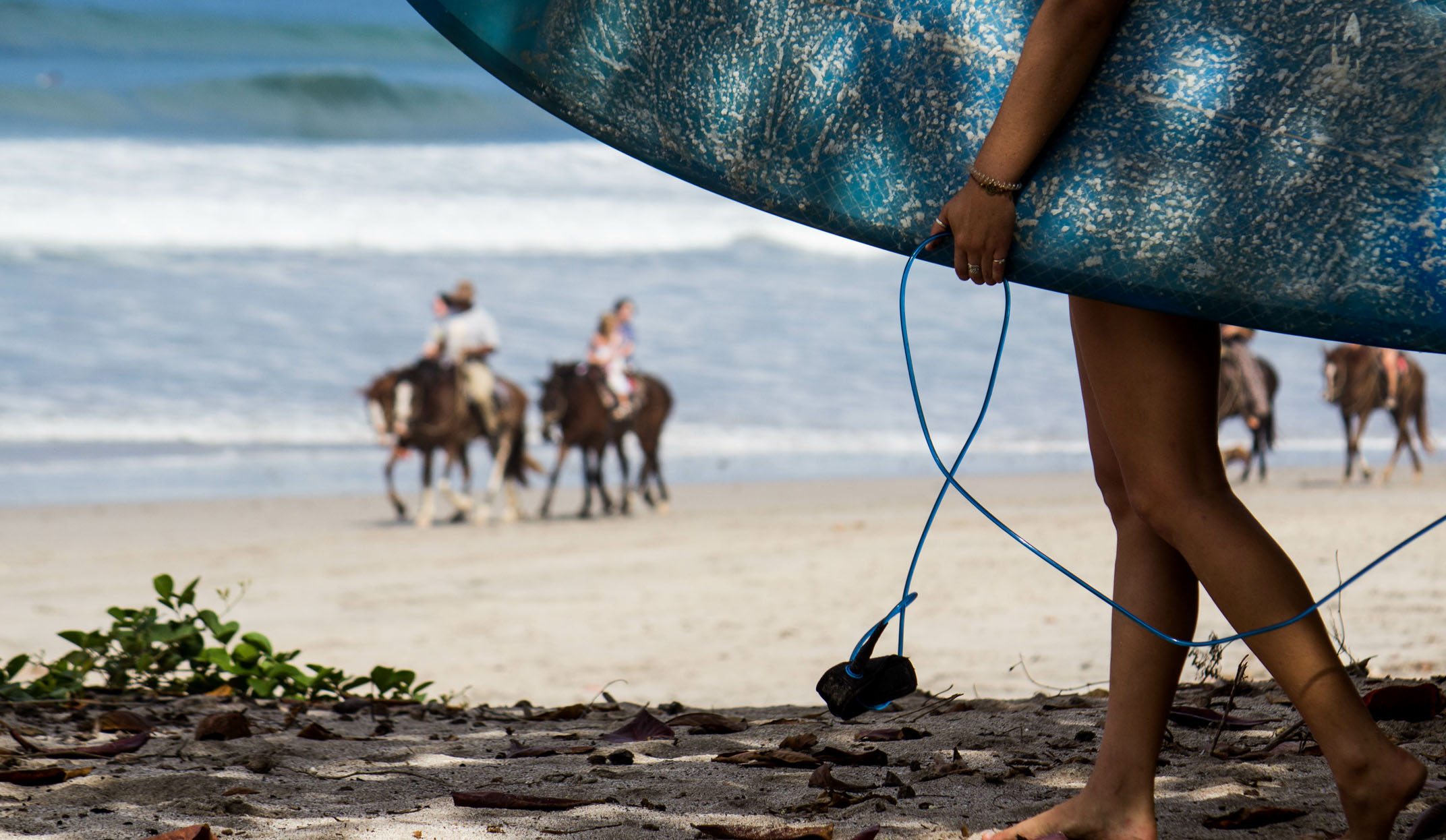horseriding on the beach in nosara, nicoya peninsula