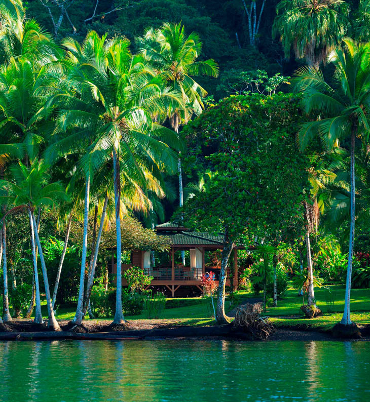 external view of a guest chalet at playa cativo in costa rica