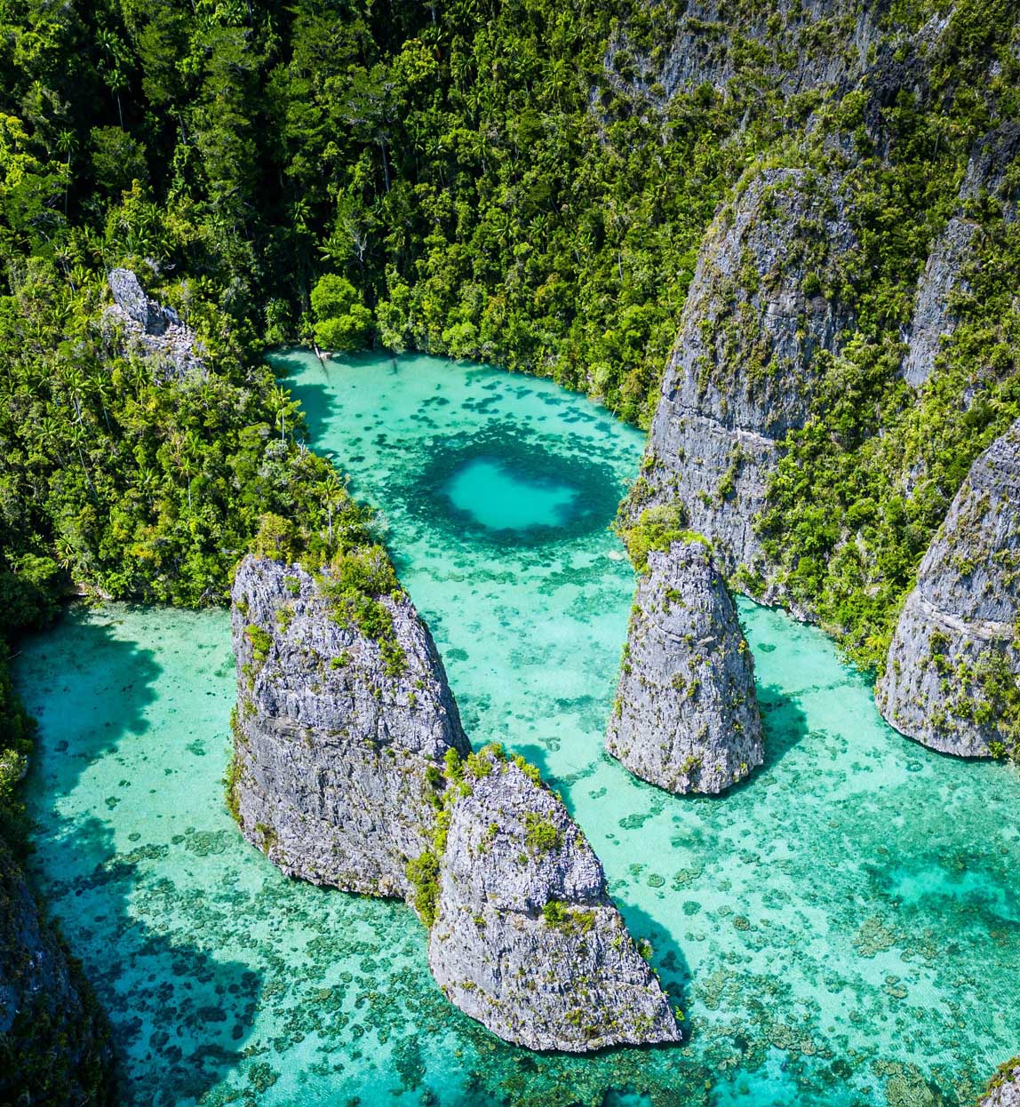 coastline of raja ampat with karst structures