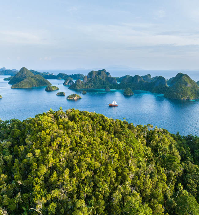view of raja ampat with boats