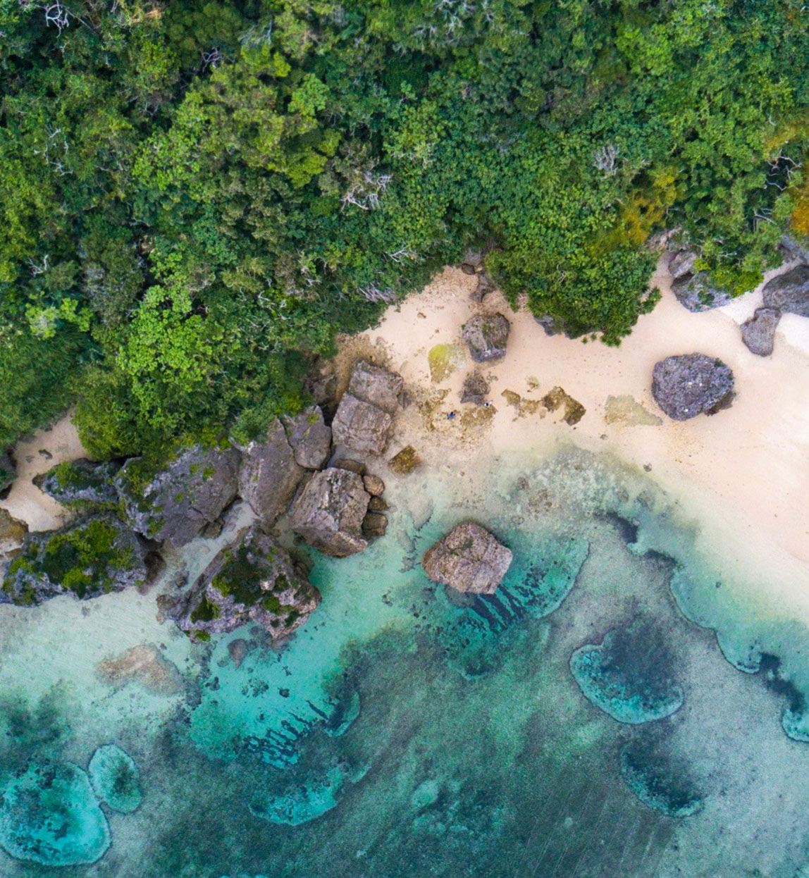 aerial view of beach in japan