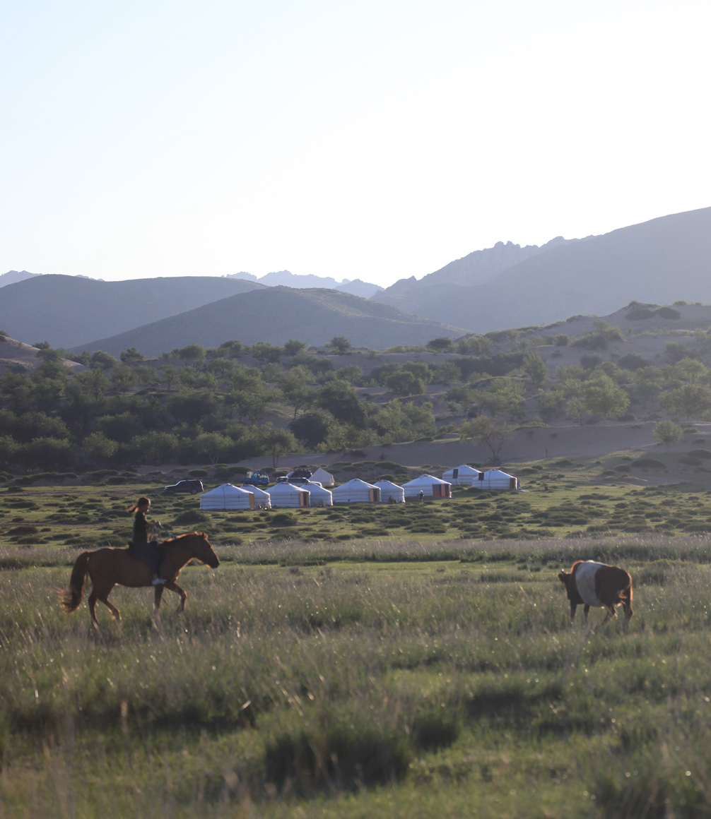 a mongolian ger camp with horses in the foreground