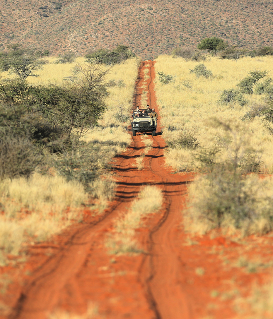 game drive in kalahari desert