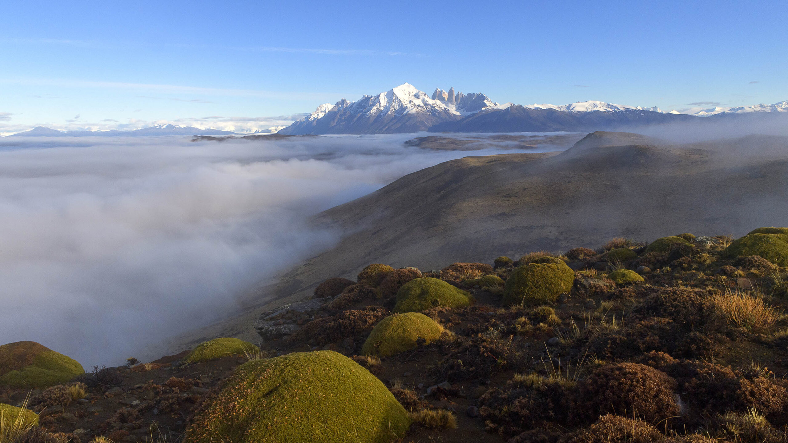 landscape in patagonia looking across mist to torres del paine