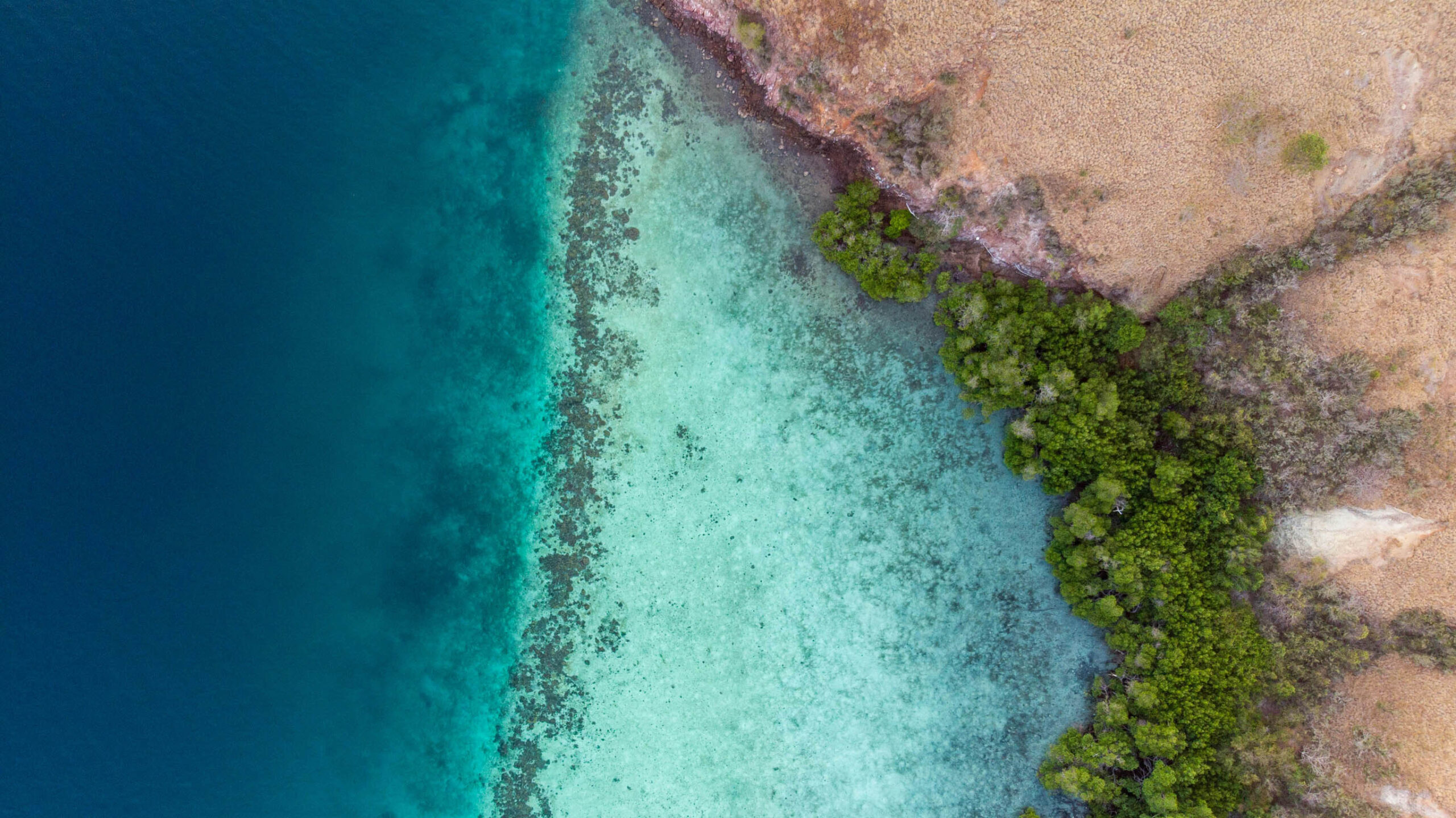 aerial view of a rocky island and treeline with shallow sea in the maldives