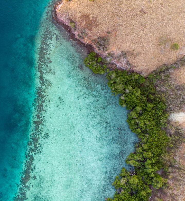 aerial view of a rocky island and treeline with shallow sea in the maldives
