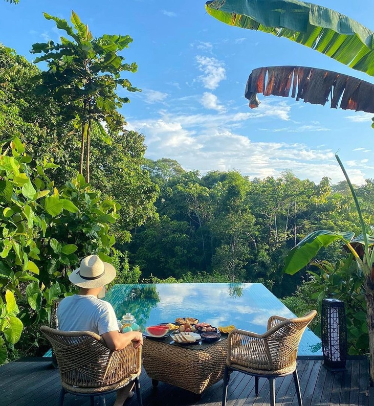 view of the verandah overlooking the forest at sepilok forest edge retreat