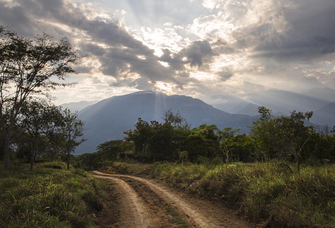 A two wheel dirt track running through a beautiful landscape at sunset, near Barichara in Colombia