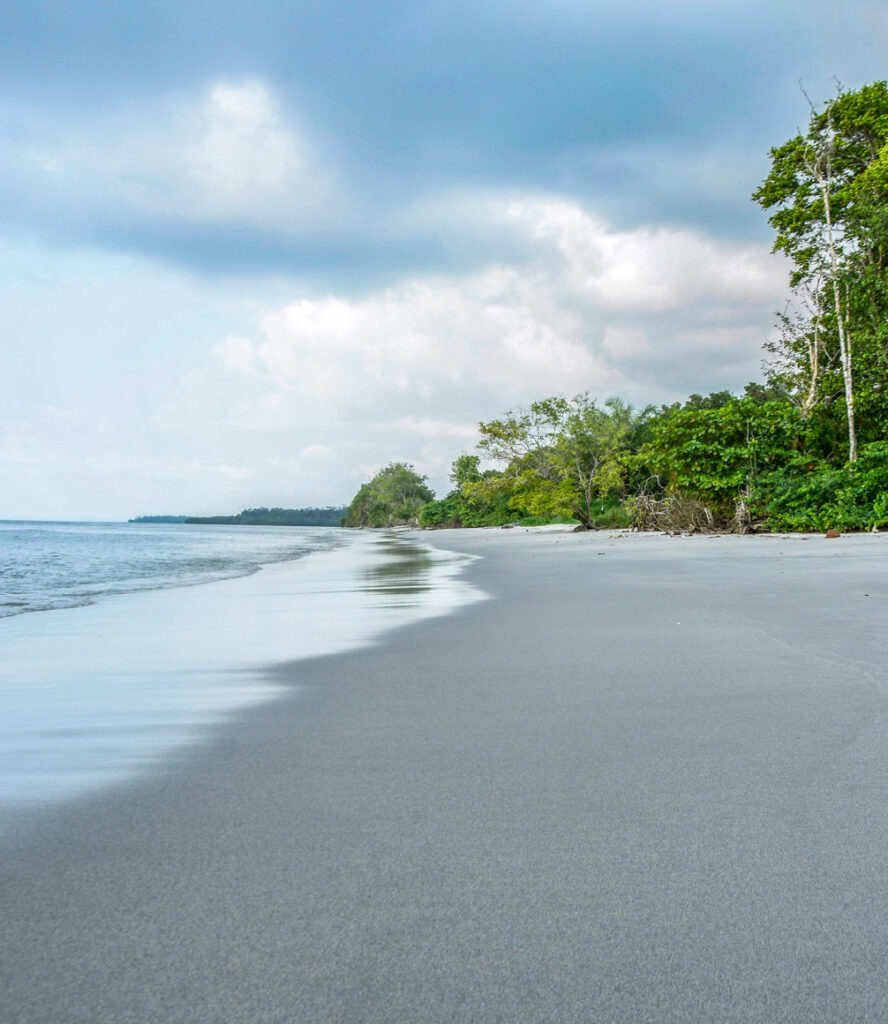 Gabon Safaris: Pioneering Wildlife Adventures - Explorations Co