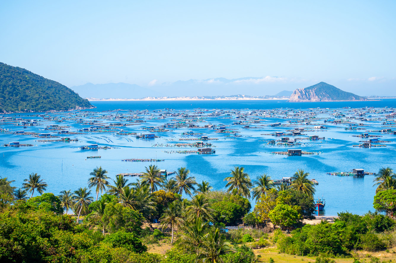 lobster farms in the bay at vung ro in phu yen vietnam