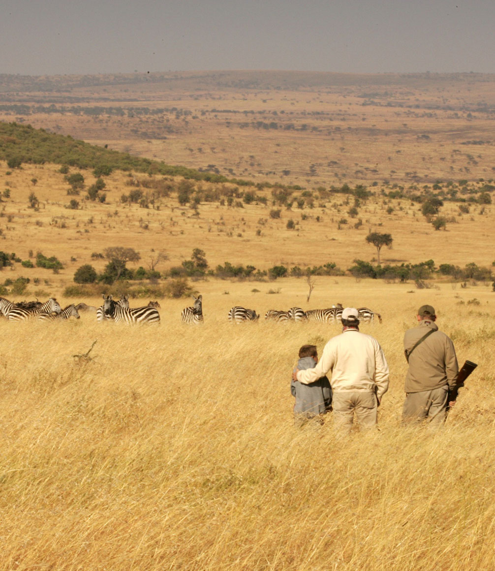 kenya family walking safari with guide spotting zebra on the plains of the masai mara