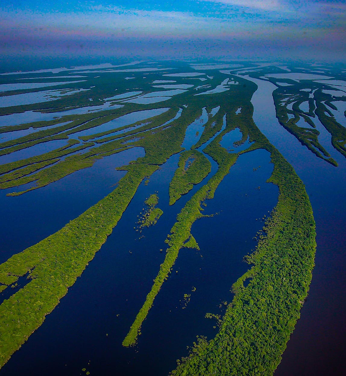 anavilhanas archipelago in amazon rainforest from the air