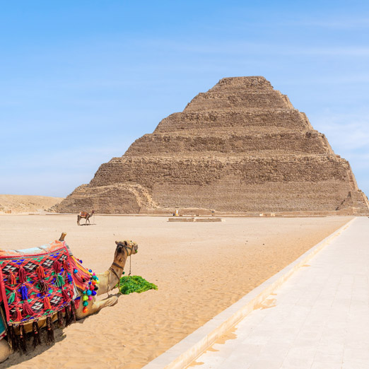 Camels At The Step Pyramid, Saqqara, Egypt