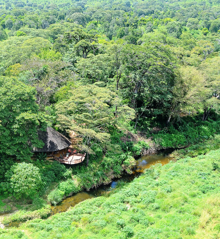 aerial view of kitich forest camp