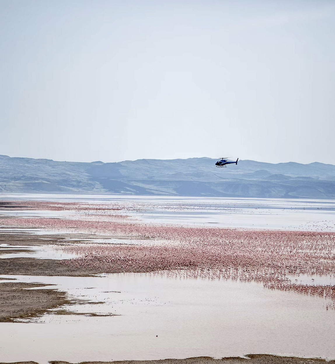 helicopter safari over lake turkana with flamingoes in the lake
