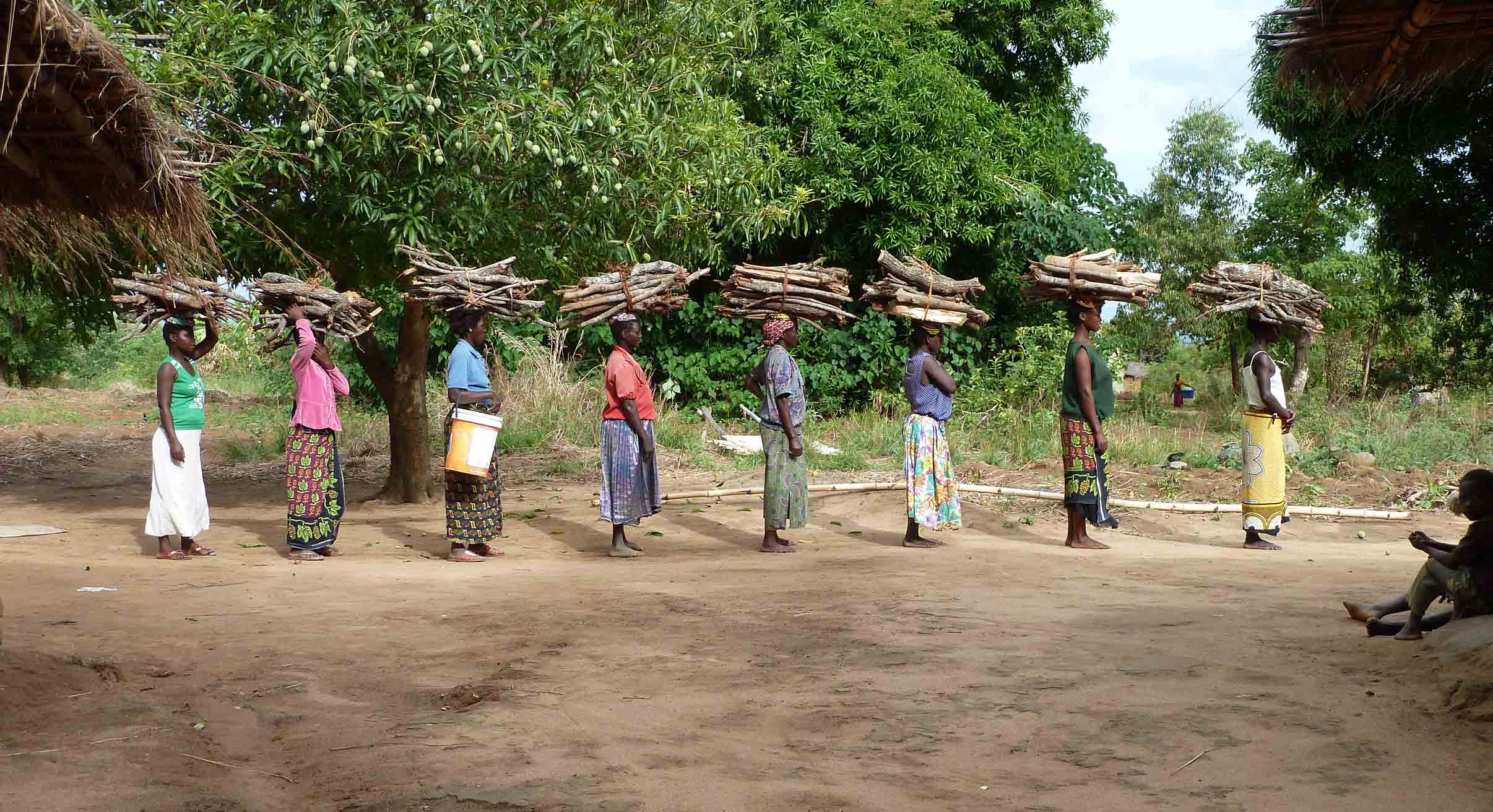 woman in malawi collecting firewood
