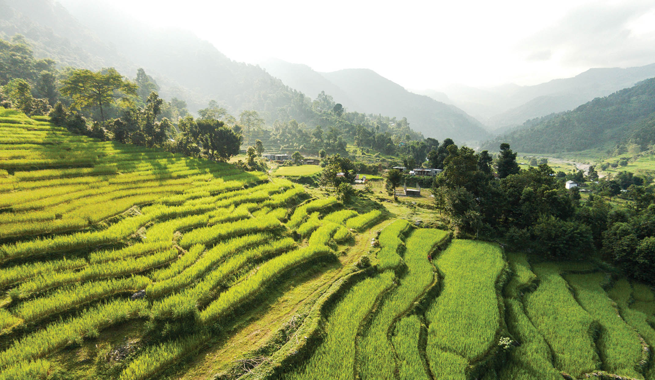 Terraces on hillsides in pokhara