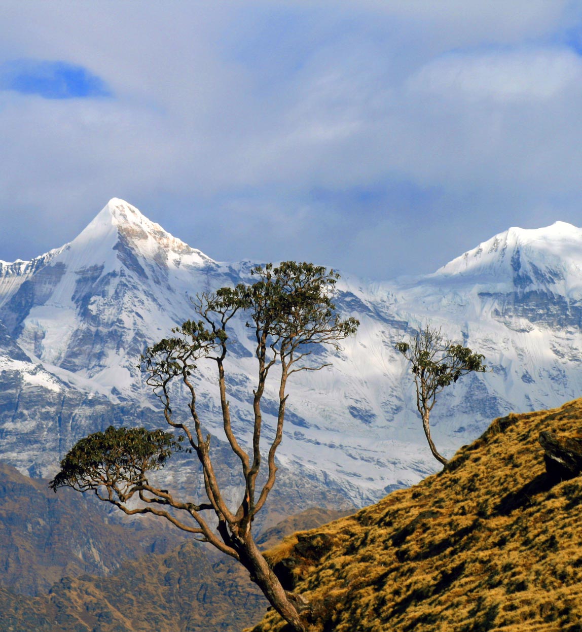 scenery in kumaon india walking with guides