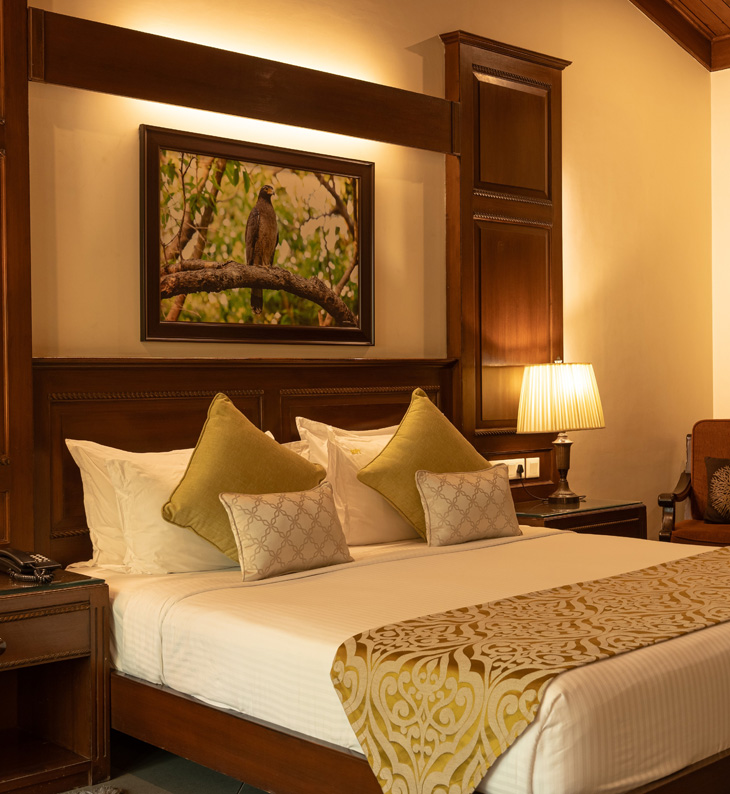 guest bedroom at aahana resort in india