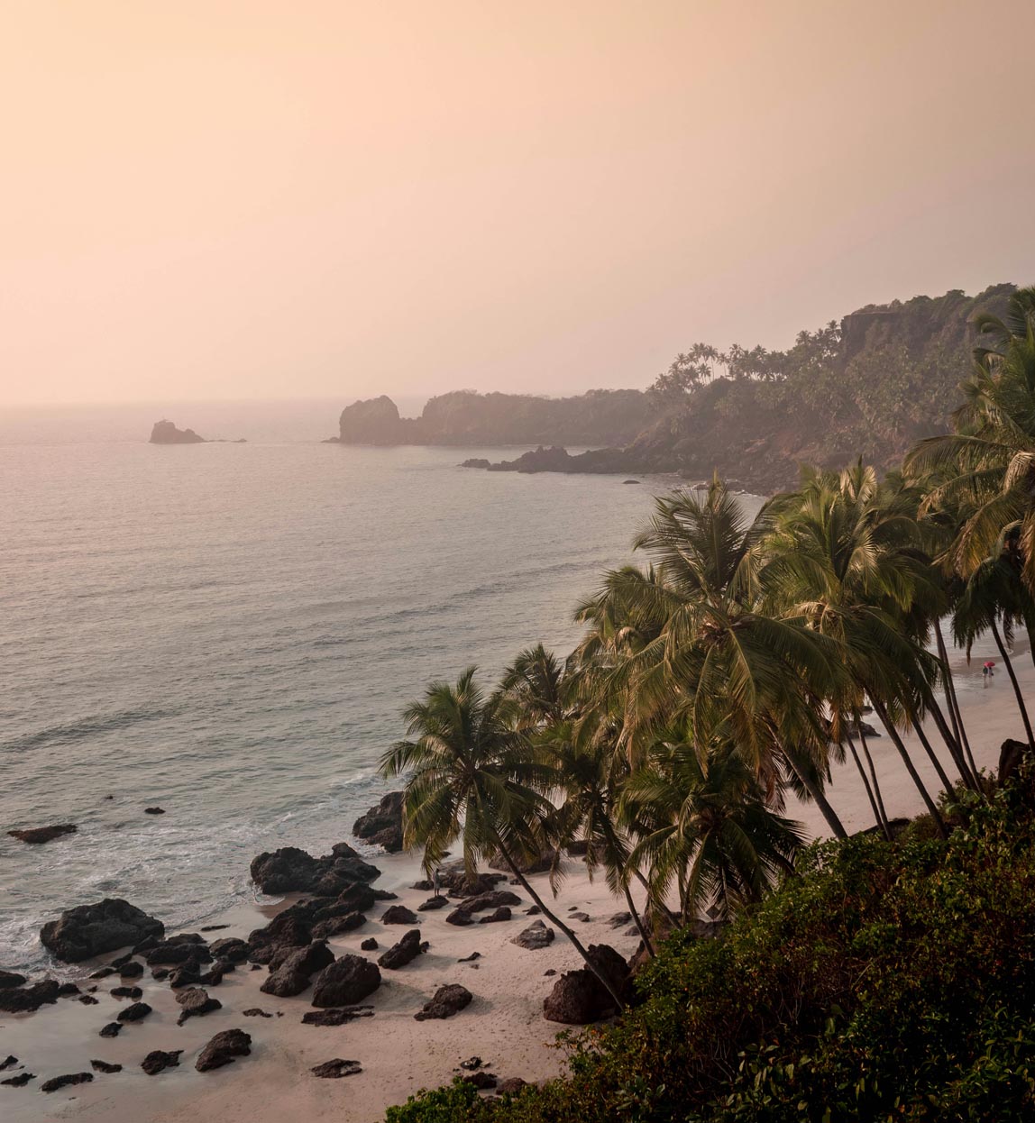 sunset view of a beach in goa with palmtress
