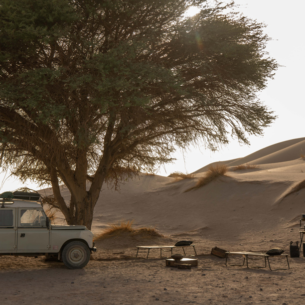 4x4 car under a tree in the desert of fam el hisn