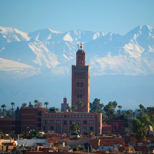 city view of marrakech with atlas mountains in the background